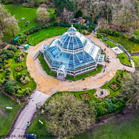 Buy canvas prints of The Palmhouse by Harry Fairbrother