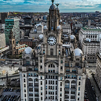 Buy canvas prints of Liverbirds by Harry Fairbrother