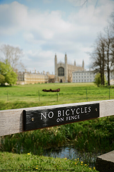 Summer at King's College Cambridge Picture Board by Pip Young