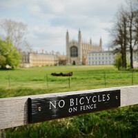 Buy canvas prints of Summer at King's College Cambridge by Pip Young
