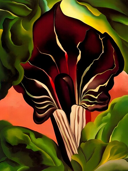 Georgia OKeeffe - Jack-in-the-Pulpit II Picture Board by Welliam Store