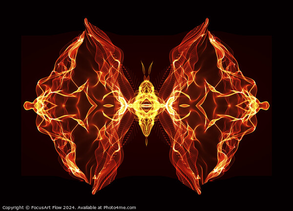 Butterfly Series: Fiery butterfly Picture Board by FocusArt Flow