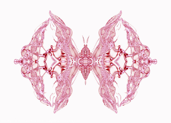 Butterfly Series: Intricate Pink Lace Butterfly Picture Board by FocusArt Flow