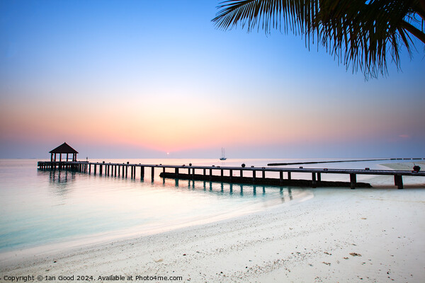Sunrise in the Maldives Picture Board by Ian Good