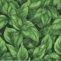 Buy canvas prints of Basil leaves seamless pattern by Mirjana Bogicevic