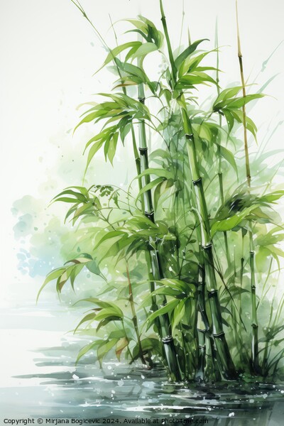 Tranquil Scene of Bamboo Plants Picture Board by Mirjana Bogicevic