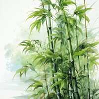 Buy canvas prints of Tranquil Scene of Bamboo Plants by Mirjana Bogicevic