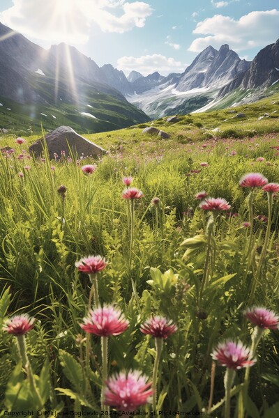Wildflowers field in the Alps Picture Board by Mirjana Bogicevic
