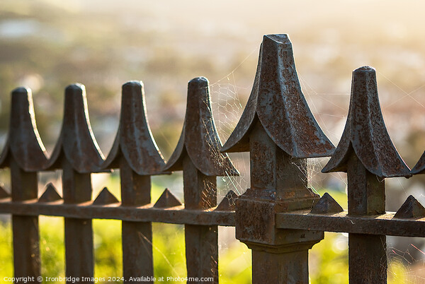 Rusty railings Picture Board by Ironbridge Images
