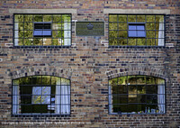 Click to show how this picture will look as a piece of wall art