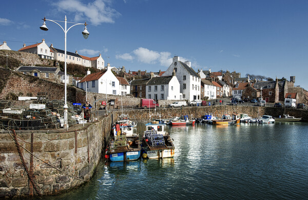 Crail Harbour Picture Board by Karl Oparka