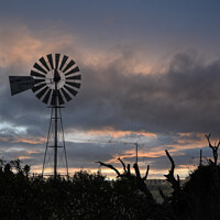 Buy canvas prints of The Windmill by Mark Borg