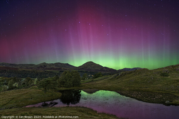 Aurora and the Old Man Picture Board by Ian Brown
