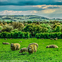 Buy canvas prints of The West Lancashire Countryside by Dark Blue Star