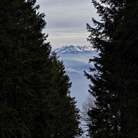 Buy canvas prints of Mountain through the trees Süd Tirol by Emma Baert