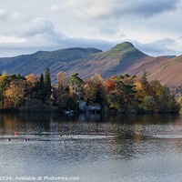 Buy canvas prints of CatBells  by Paul Campbell