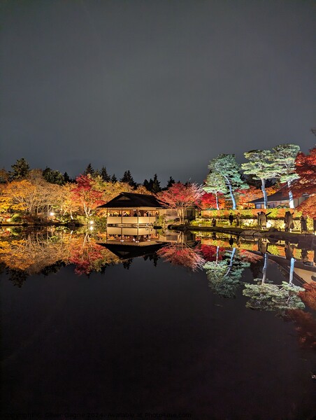 Japanese Park Night View Picture Board by Oliver Gagne