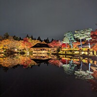 Buy canvas prints of Japanese Park Night View by Oliver Gagne