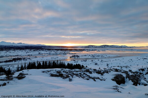 Morning Sunrise Over Þingvellir National Park, Ice Picture Board by Alice Rose Lenton