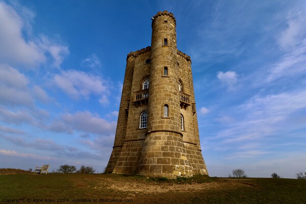 Majestic Broadway Tower  Picture Board by Alice Rose