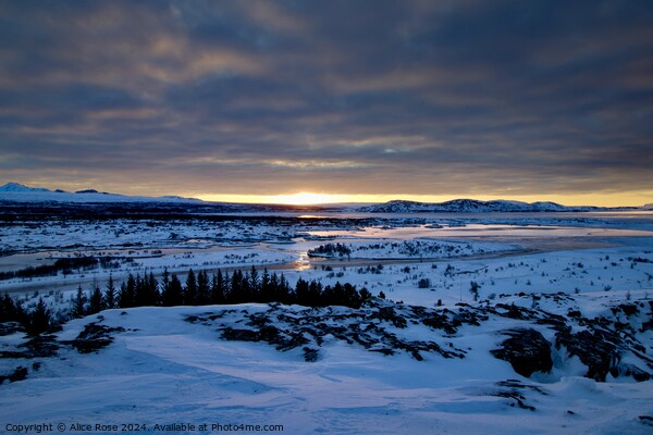 Sunrise over Thingvellir Rift Valley Iceland Picture Board by Alice Rose Lenton