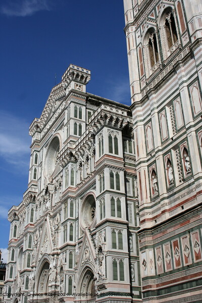 Florence Italy Duomo  Picture Board by Alice Rose Lenton