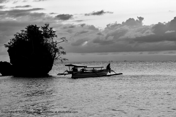 Fishing Boat Silhouette Indonesia Black and White  Picture Board by Alice Rose Lenton