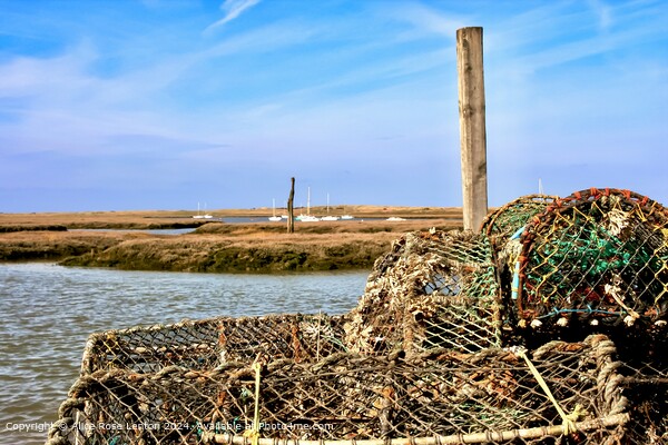 Brancaster Staithe Lobster Pots Picture Board by Alice Rose Lenton