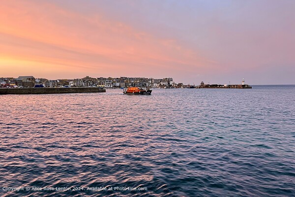 St Ives Lifeboat Leaves at Sunset Picture Board by Alice Rose Lenton