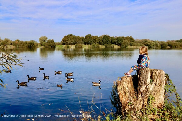 Serene Lake Reflection Landscape Picture Board by Alice Rose Lenton