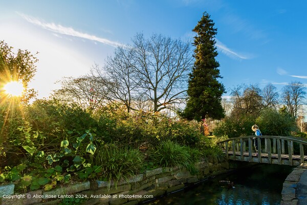 St Nicholas Park, Warwick Landscape Picture Board by Alice Rose Lenton