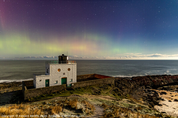 Northern Lights at Bamburgh Lighthouse Picture Board by Edward Bilcliffe