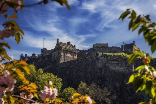 Edinburgh Castle Picture Board by Don Alexander Lumsden