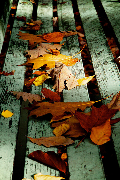 autumn Picture Board by Matthias Betzer