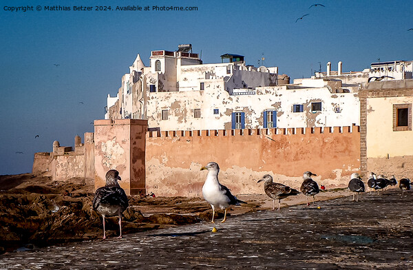 Essaouira Picture Board by Matthias Betzer