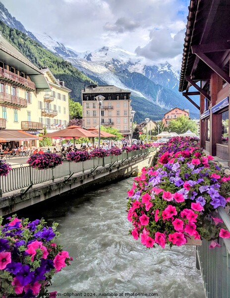 Chamonix flowers & mountains Picture Board by Robert Galvin-Oliphant