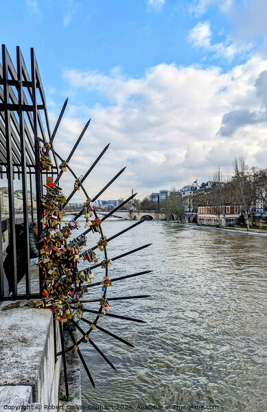 Paris love locks  Picture Board by Robert Galvin-Oliphant