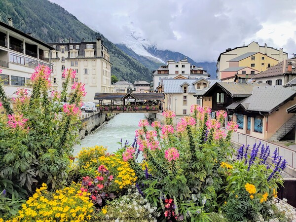 Colourful flowers in French Alps  Picture Board by Robert Galvin-Oliphant