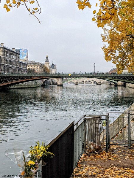 Autumn leaves by the Seine River, Paris  Picture Board by Robert Galvin-Oliphant
