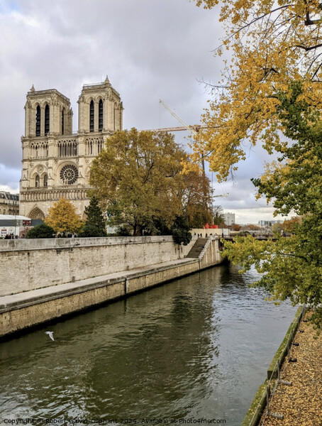 Notre Dame cathedral in autumn  Picture Board by Robert Galvin-Oliphant