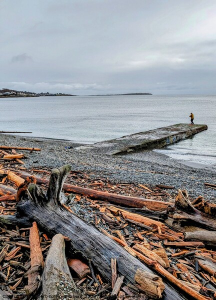 Fisherman on a pier at a log covered beach Picture Board by Robert Galvin-Oliphant
