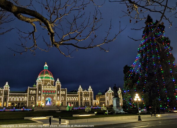 Christmas tree and parliament building at night  Picture Board by Robert Galvin-Oliphant