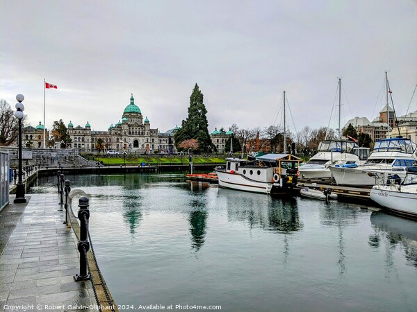 Inner harbour marina and parliament building  Picture Board by Robert Galvin-Oliphant