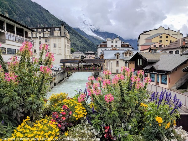 Alpine scene with flowers, river and glacier  Picture Board by Robert Galvin-Oliphant