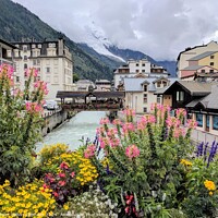 Alpine scene with flowers, river and glacier