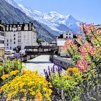 Flowers, Arve river, French Alps