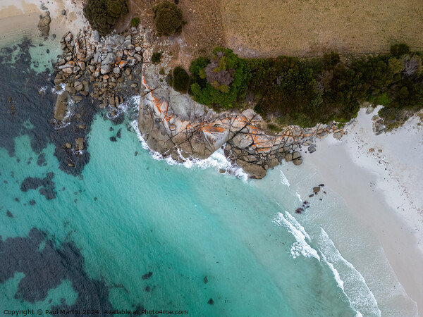The Gardens, Bay of Fires, Tasmania Picture Board by Paul Martin