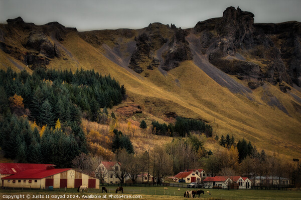 A beautiful hamlet in Kálfafell, South east Iceland Picture Board by Justo II Gayad