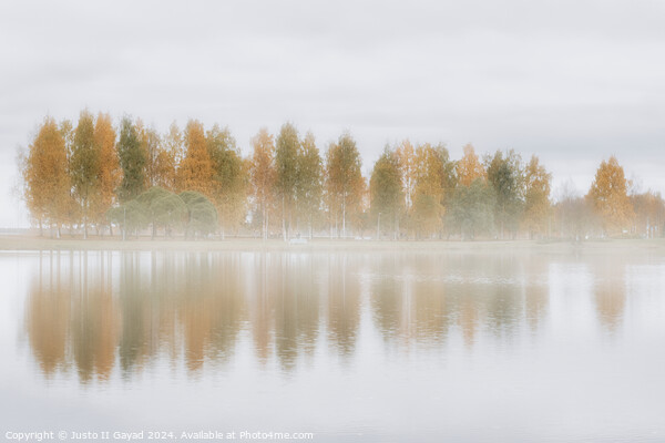 Autumn Reflections at Rovaniemi, Finland Picture Board by Justo II Gayad