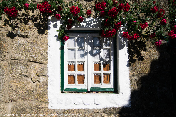 Cottage window Picture Board by Keith Wileman